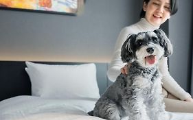 hotel anddoggy京都二条